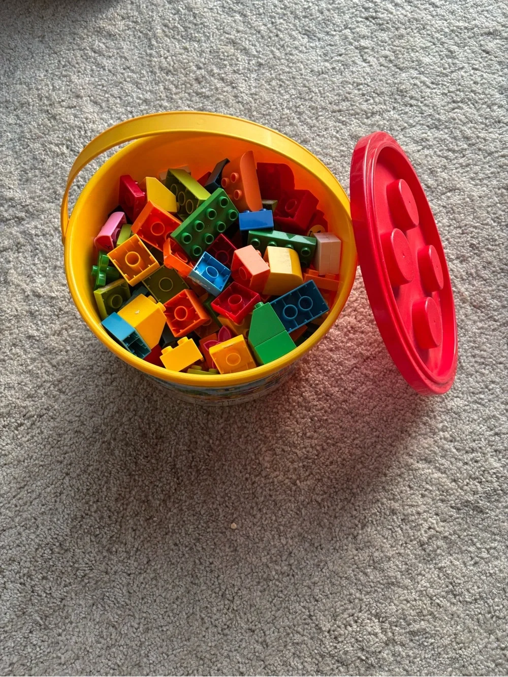 burgkidz Animal Building Toy block set